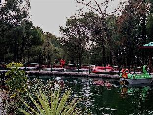 palampur
