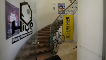 the hive party hostel