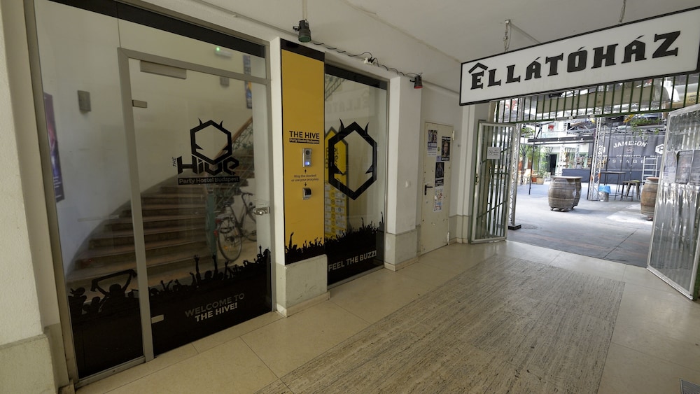 the hive party hostel