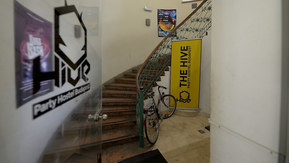 the hive party hostel