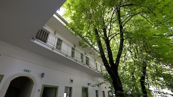 the hive party hostel