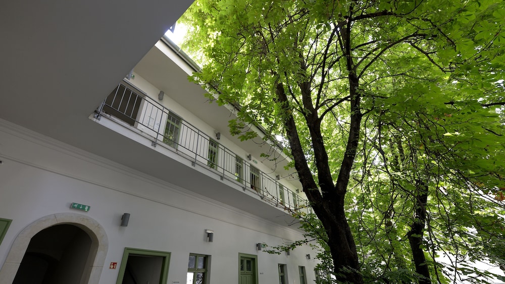 the hive party hostel