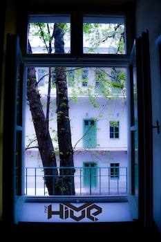 the hive party hostel