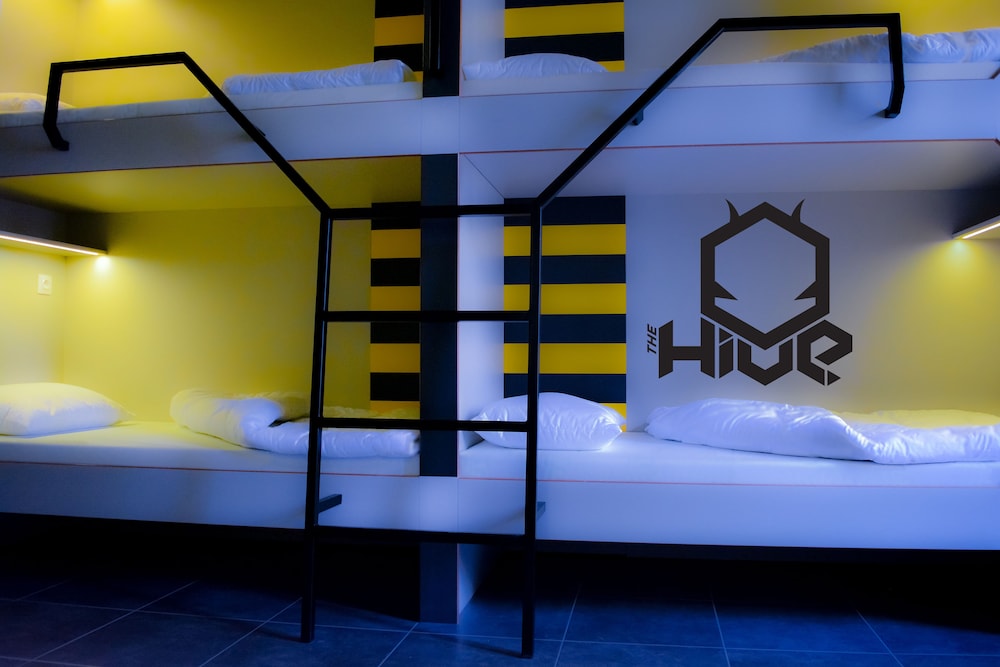 the hive party hostel