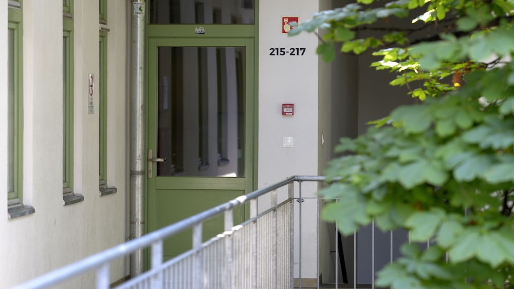 the hive party hostel