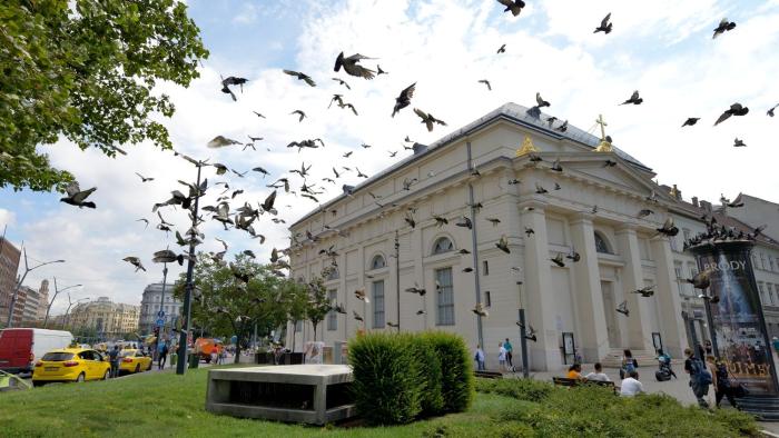 the hive party hostel