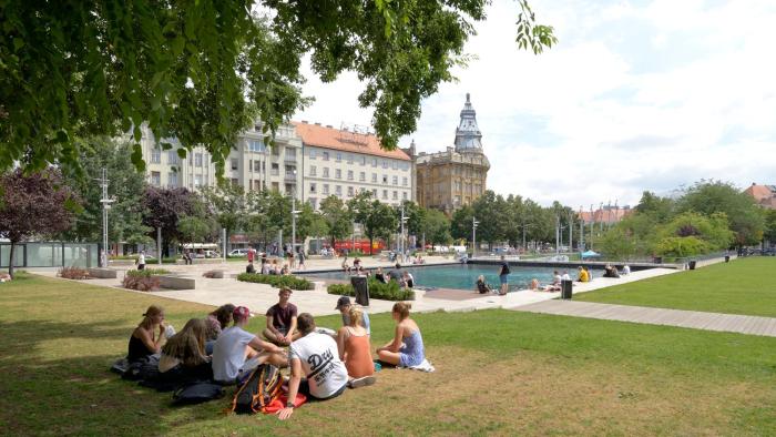 the hive party hostel