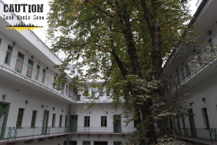 the hive party hostel