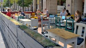 the hive party hostel