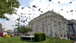 the hive party hostel