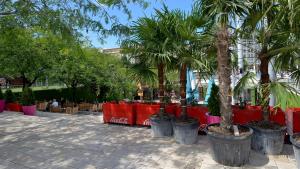 the hive party hostel