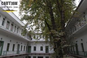 the hive party hostel