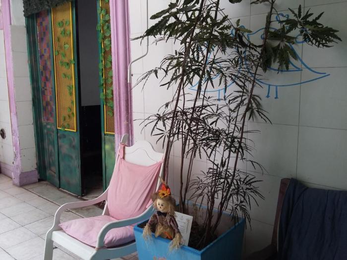 hospedaje la rana