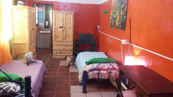 hospedaje la rana