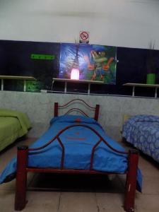 hospedaje la rana