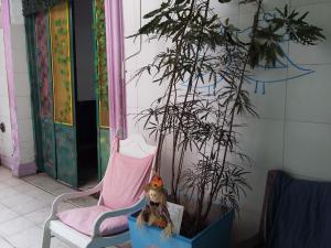 hospedaje la rana