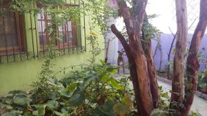 hospedaje la rana