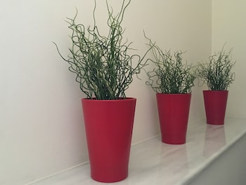 mc queen rooms and apartments