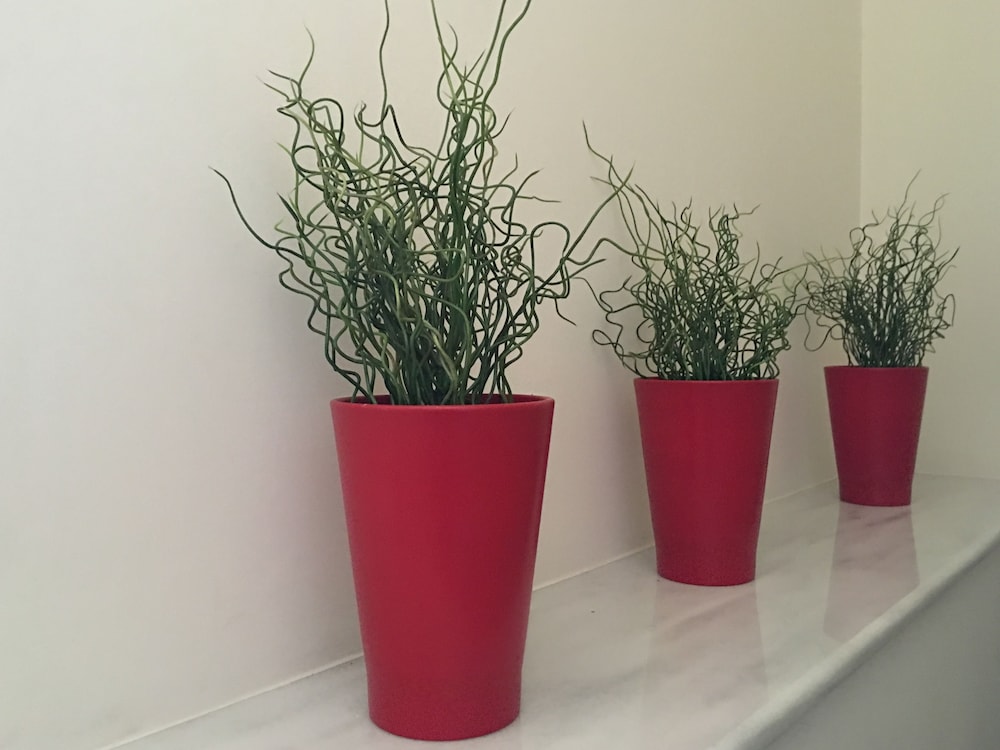 mc queen rooms and apartments