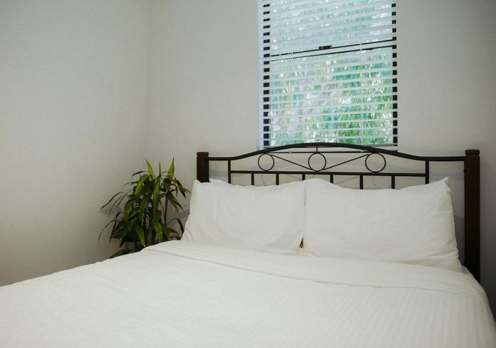 the village bondi beach hostel