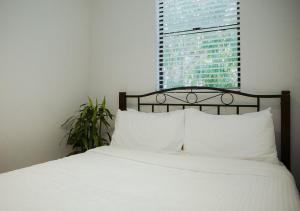 the village bondi beach hostel