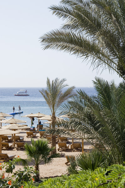 novotel sharm el sheikh beach side