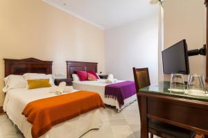 hotel baco