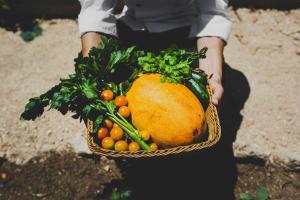 latchi escape hotel and suites