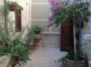 arsorama village homes