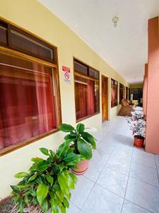 Hotel La Puesta Del Sol,Puntarenas>>Monteverde,3 star