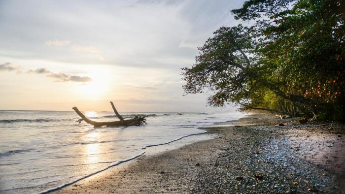makanas beach bungalows