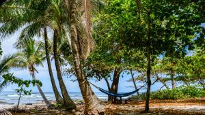 makanas beach bungalows