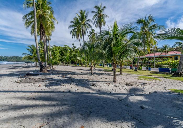 hotel manuel antonio