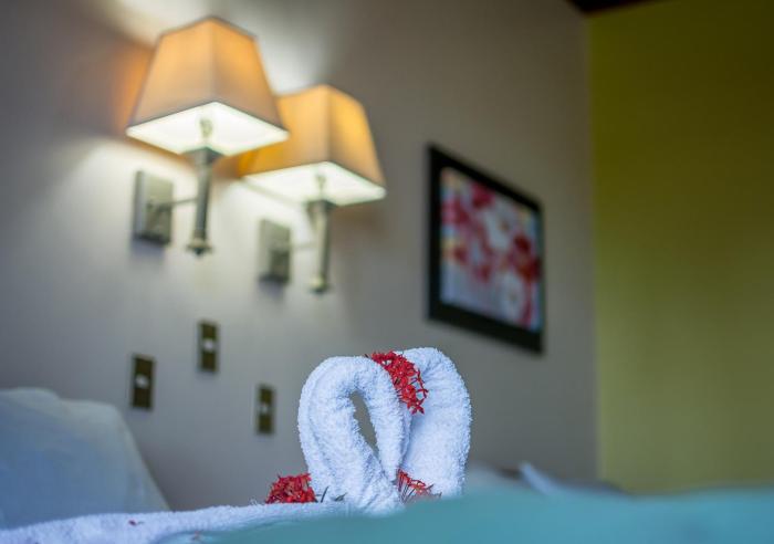 hotel manuel antonio