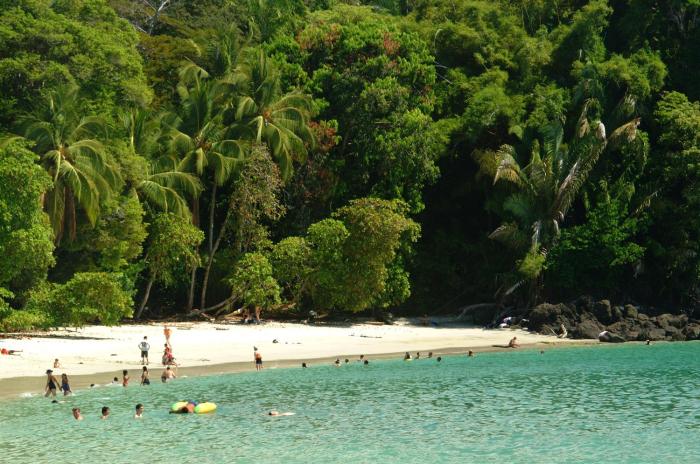 hotel manuel antonio