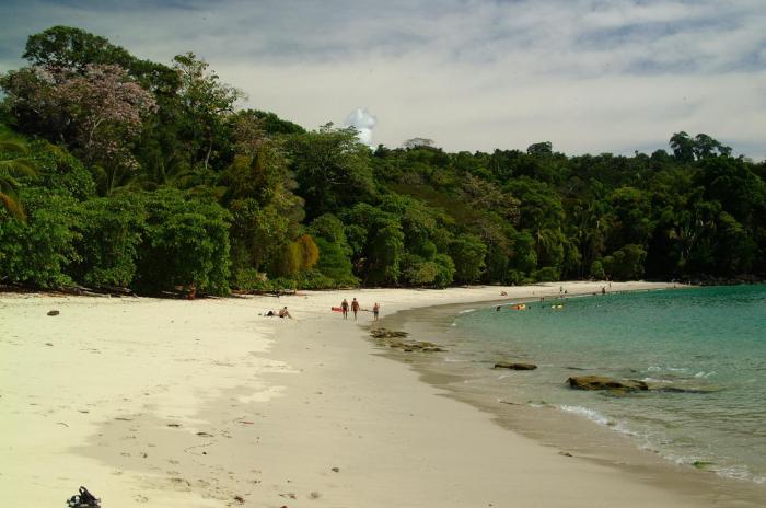 hotel manuel antonio