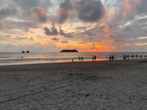 hotel manuel antonio