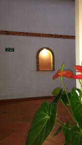 apartahotel la gran familia