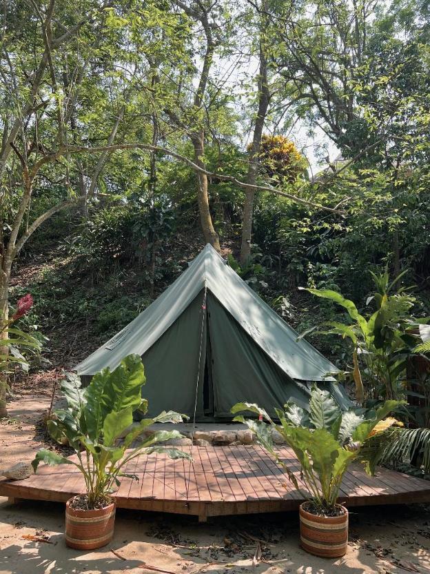 dibulla