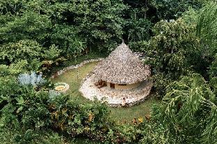 dibulla