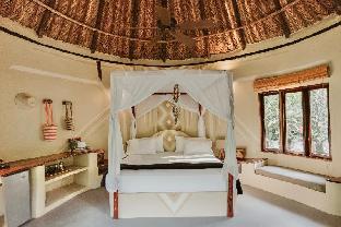 dibulla