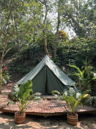 dibulla