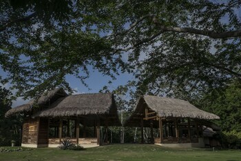 dibulla