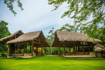 dibulla