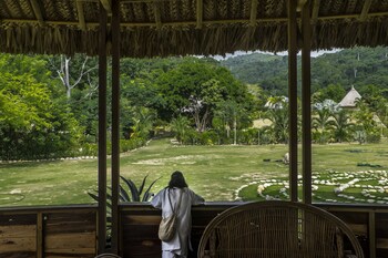 dibulla