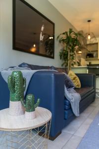 soul lifestyle apartments