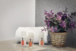 soul lifestyle apartments