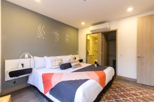 soul lifestyle apartments