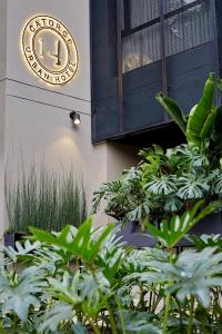 14 urban hotel