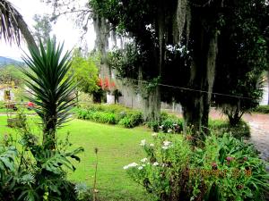 hotel puntalarga